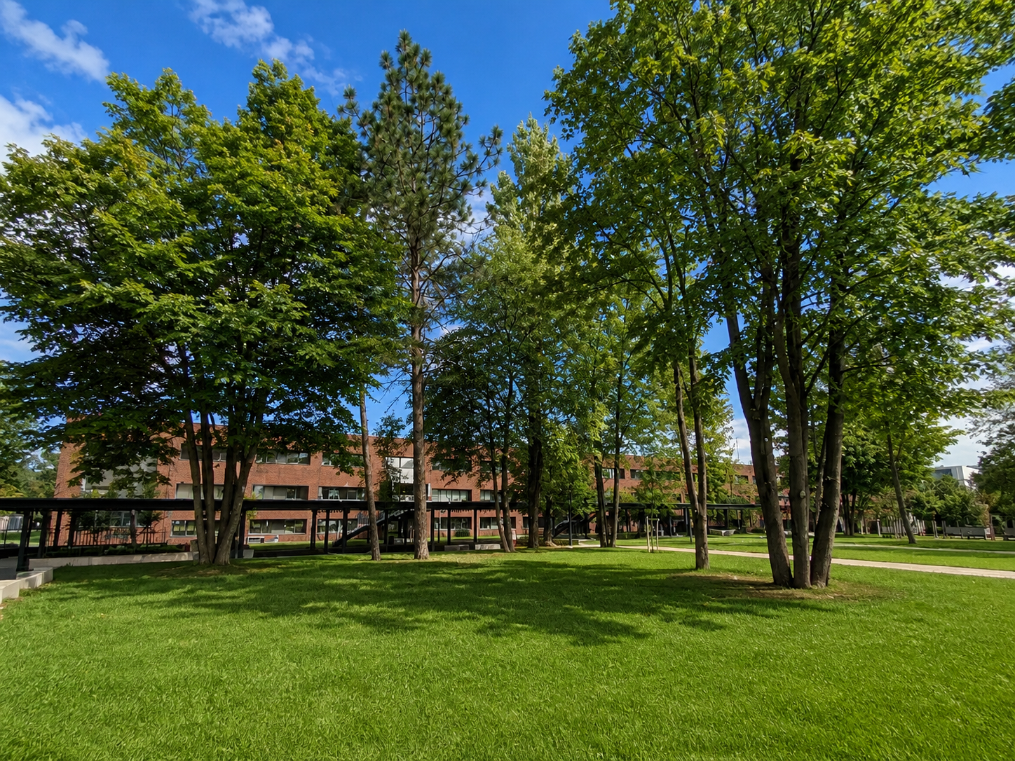 You are currently viewing 2026 – Cambridge School By LANDAQ DEVELPOMENT